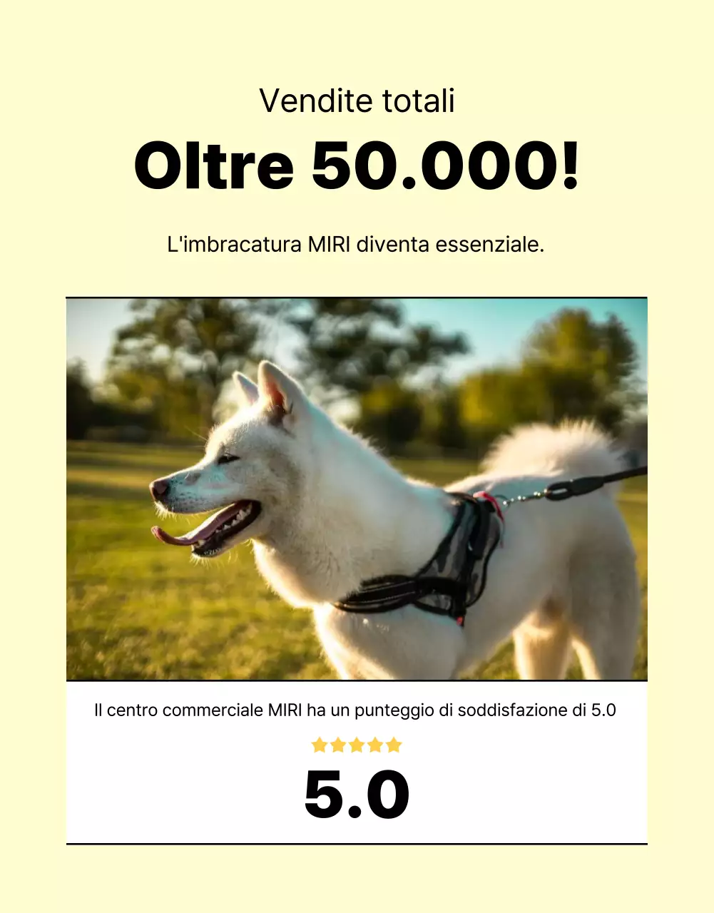 Promuovere un semplice guinzaglio per cani giallo e arancione