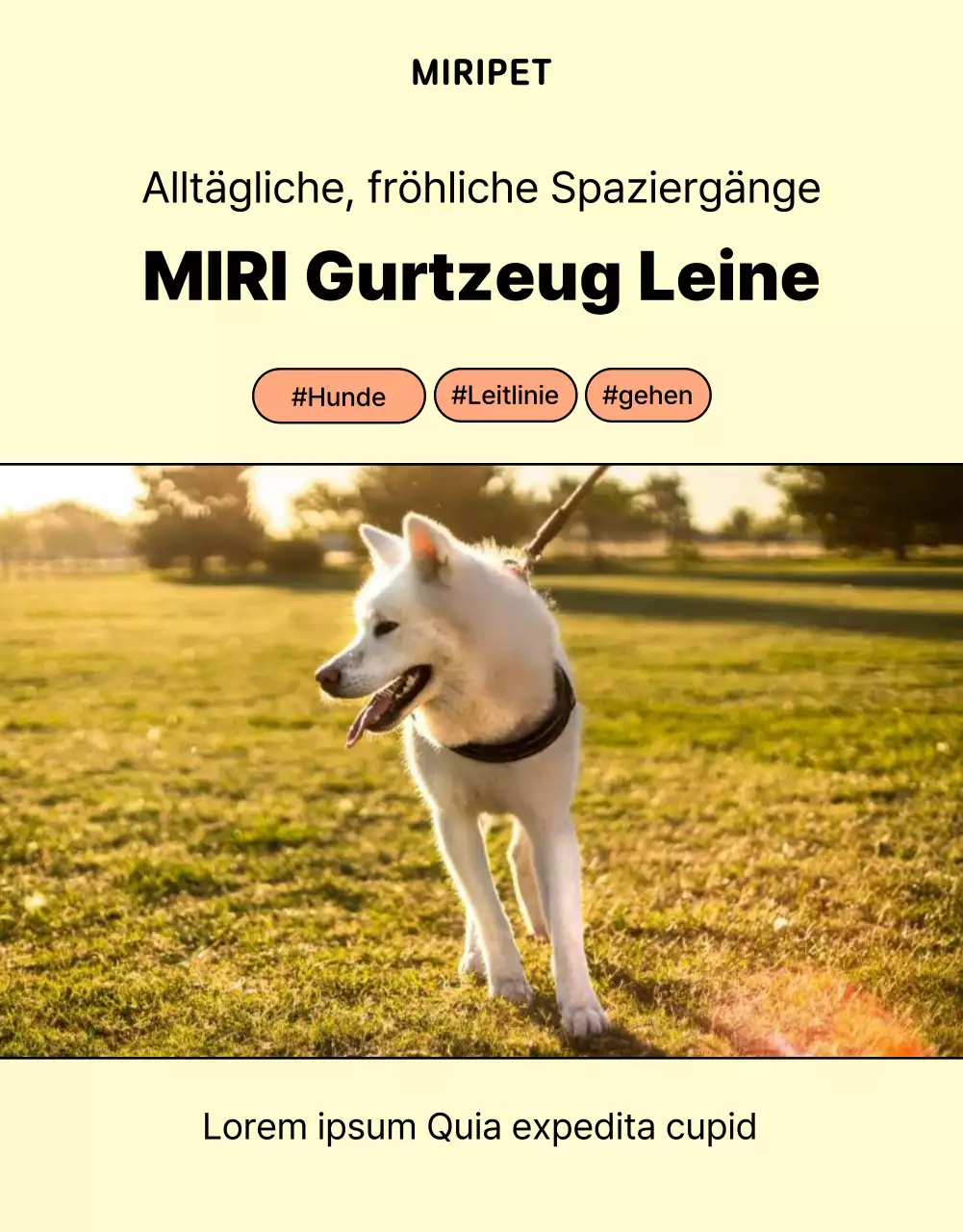 Förderung einer einfachen gelben und orangefarbenen Hundeleine