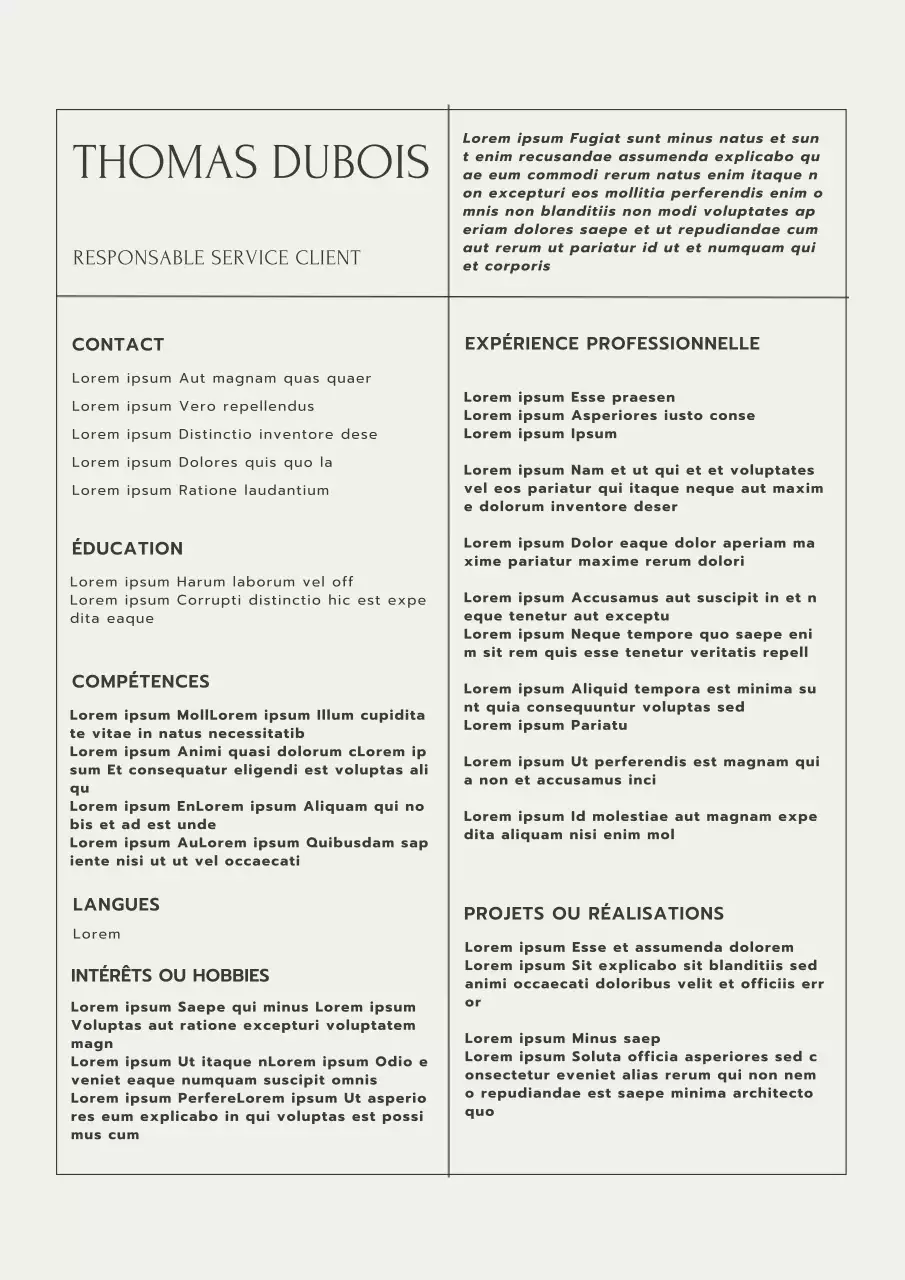 Beige et Grey Minimal Customer Service Manager Resume Introduction