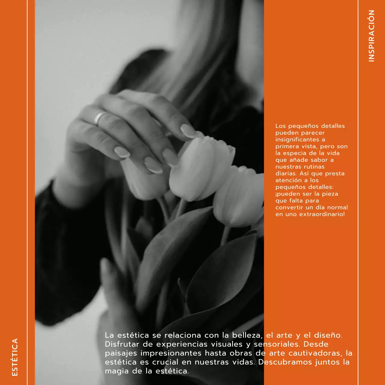 Tendencia en naranja y blanco Estilo de vida moderno y promoción del blog Trevel