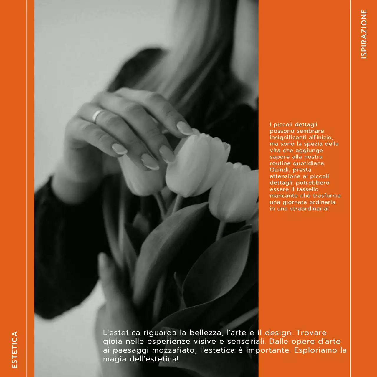 Tendenza arancione e bianca Stile di vita moderno e promozione del blog Trevel