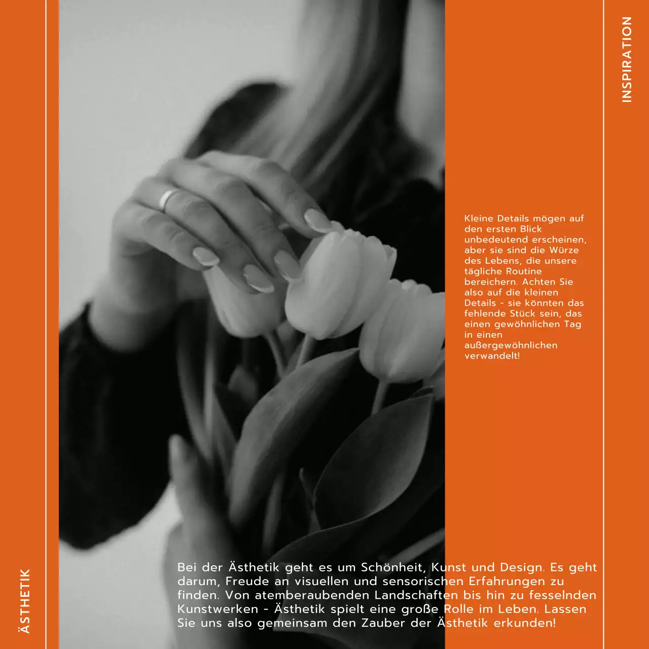 Orange und Weiß Trend Modern Lifestyle und Trevel Blog Promotion