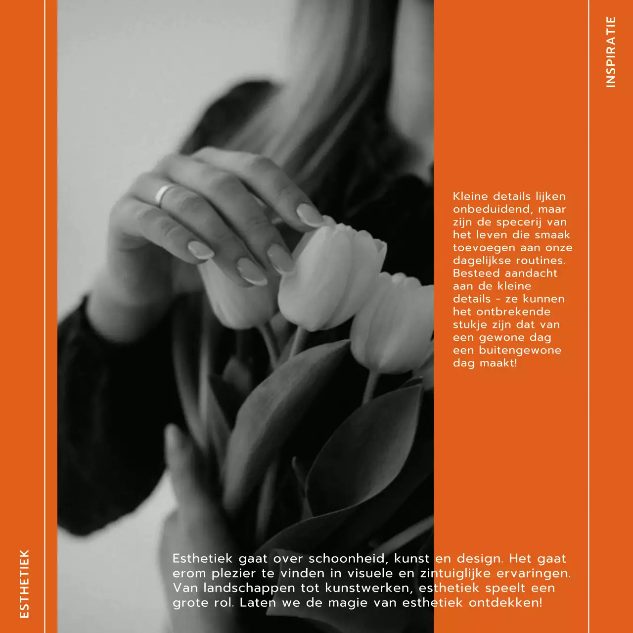 Oranje en wit Trend Modern Lifestyle en Trevel Blog Promotie