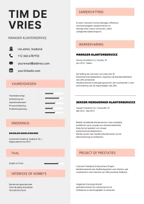 Grijs Zacht Oranje Eenvoudig Klant Servicemanager CV