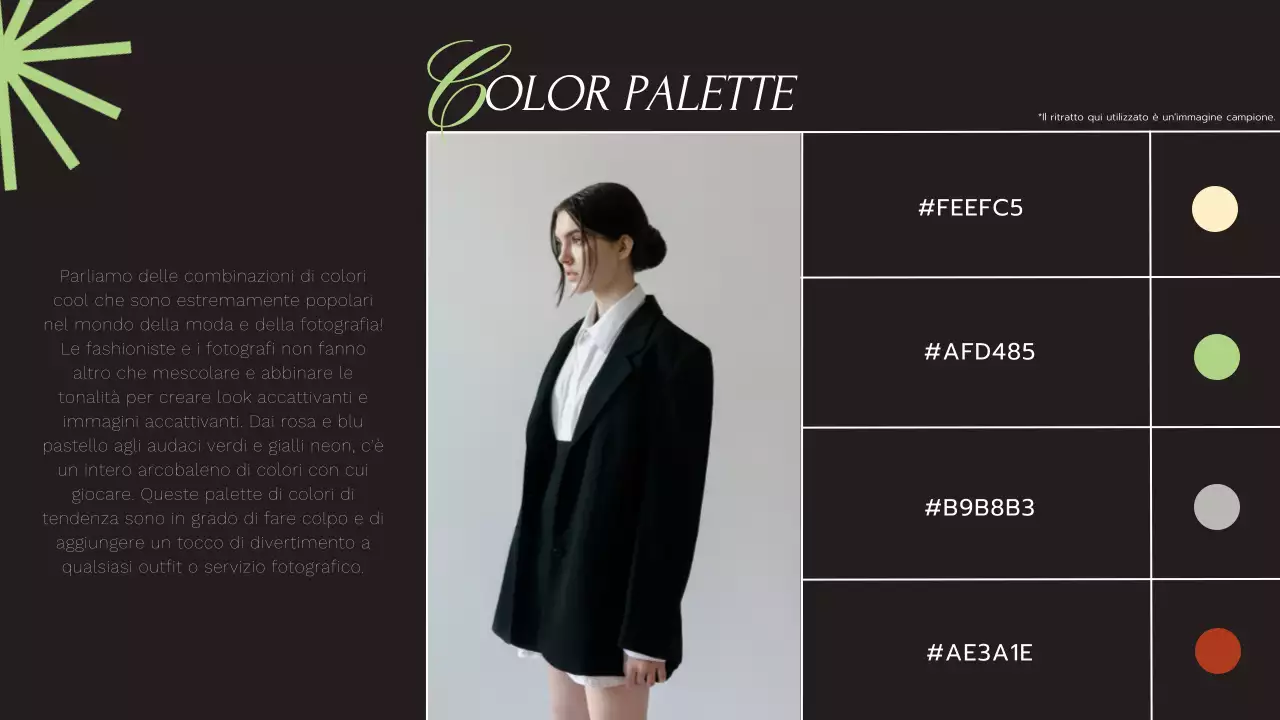 Bianco e nero, lime e moderno, elegante, tendenza geometrica Servizi fotografici Introduzione dell'azienda