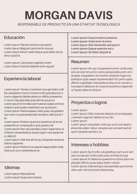 Rosa y gris Minimal Product Manager Resume Introducción