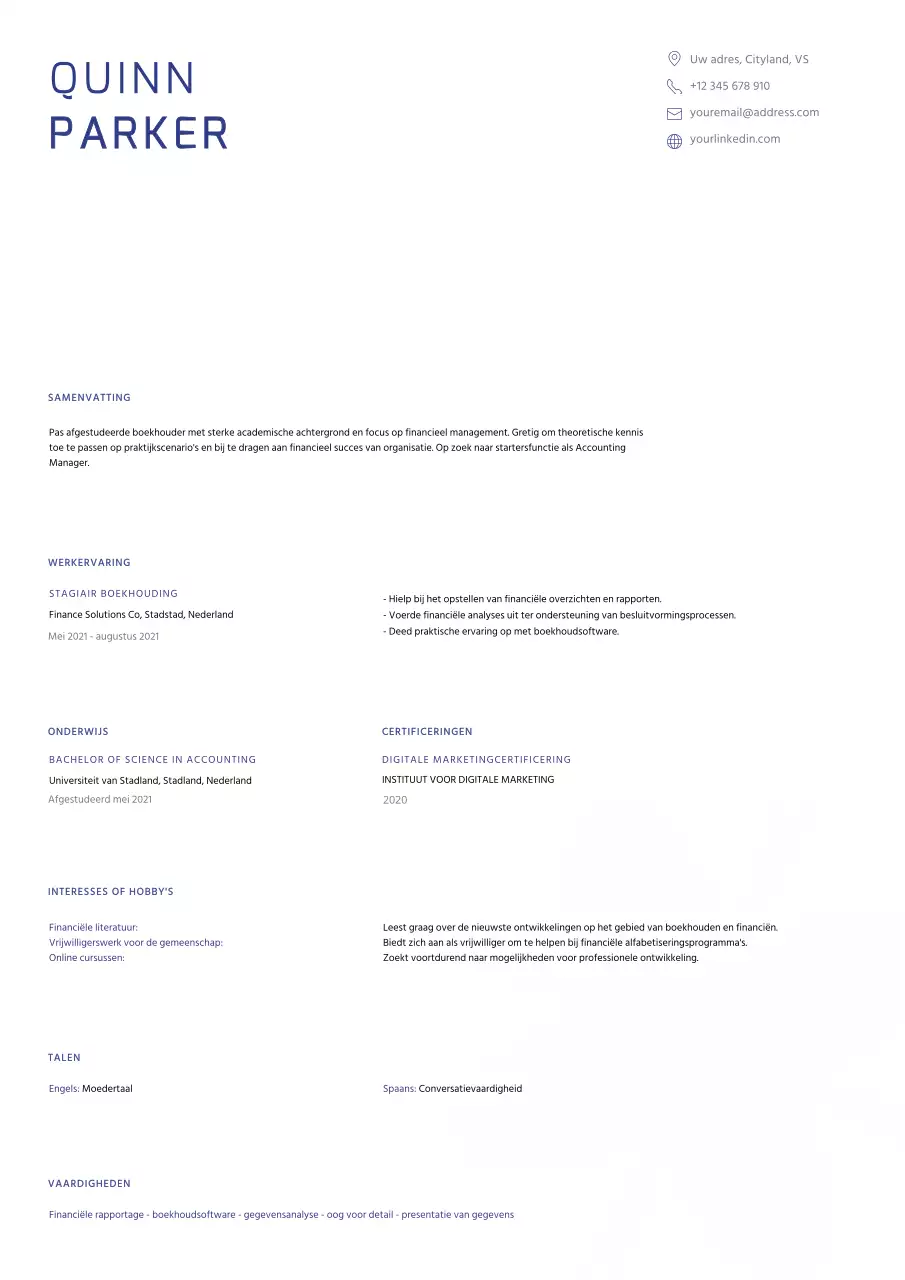 Blauw Minimalistisch Boekhoudkundig CV CV