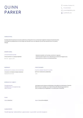 Blauw Minimalistisch Boekhoudkundig CV CV