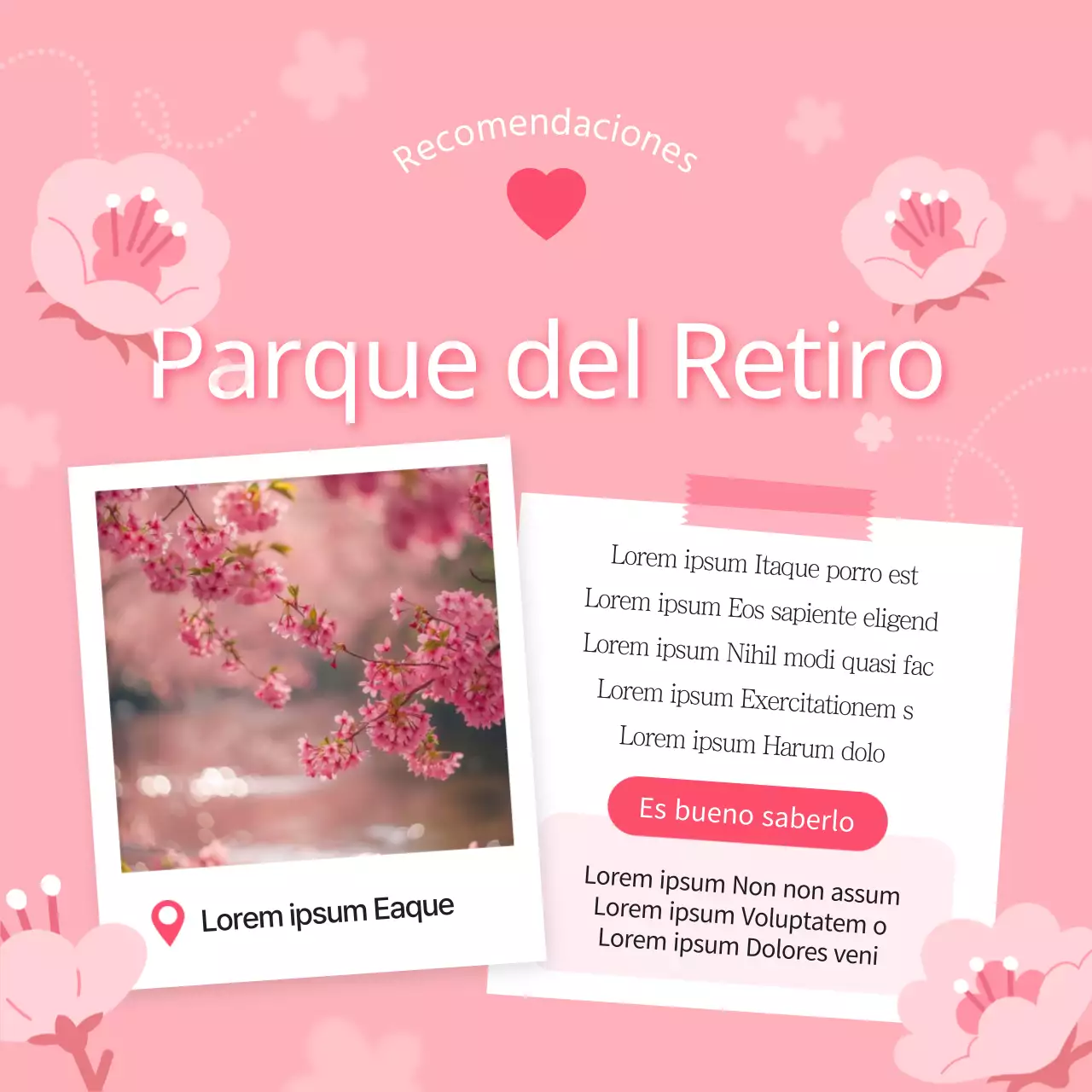 Guía de bonitos rincones rosas y blancos de cerezos en flor