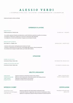 Curriculum vitae grigio pulito e minimale dell'analista di dati