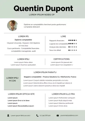 Soft Green Simple Accounting Manager Resume (CV de responsable de la comptabilité)