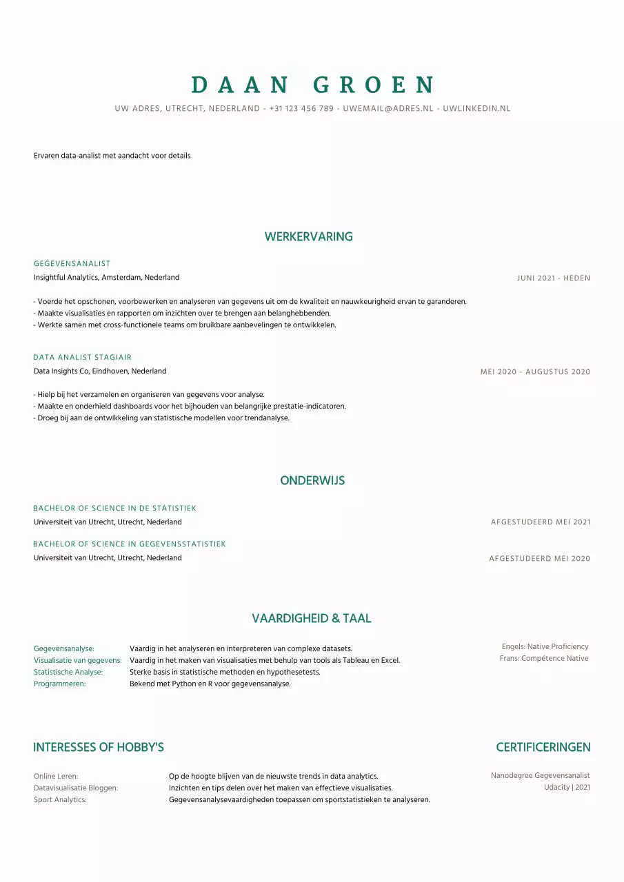 Grijs Minimalistisch Gegevens Analist CV