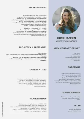 Grijs en Blauw Modern Marketing Manager CV Introductie