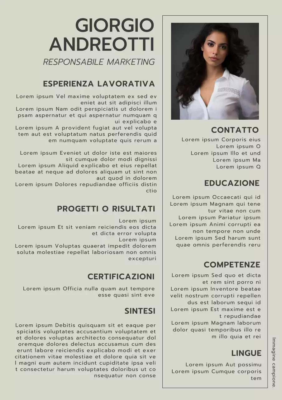 Cachi e grigio Semplice curriculum del direttore marketing Introduzione