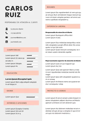 Gris Naranja Suave Simple Customer Service Manager Resume