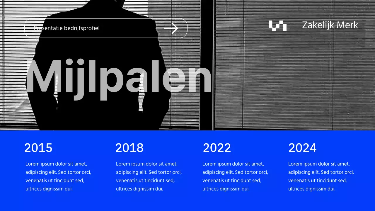 Grijs en Blauw Minimal Bedrijfsprofiel