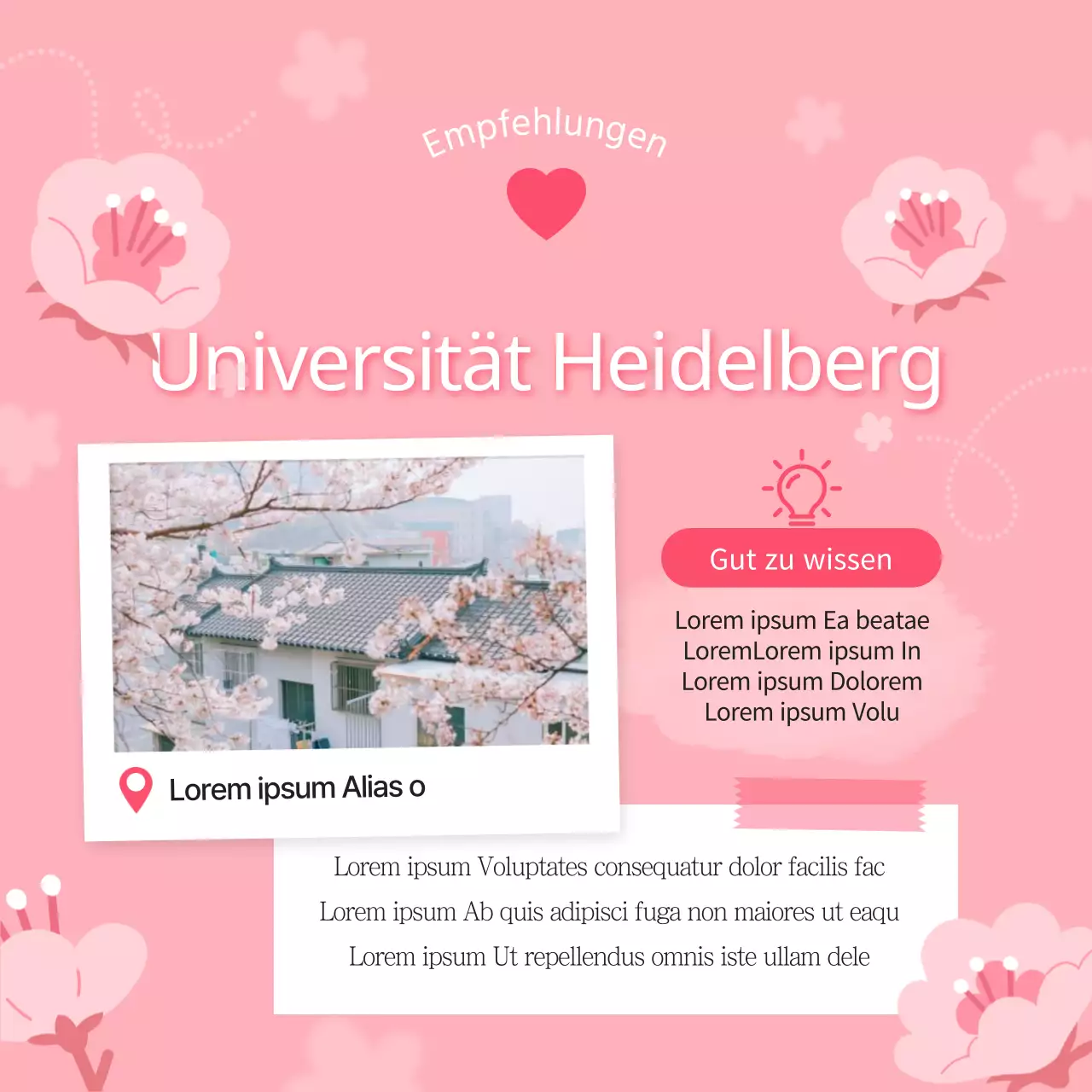 Ein Leitfaden für schöne rosa und weiße Kirschblütenflecken
