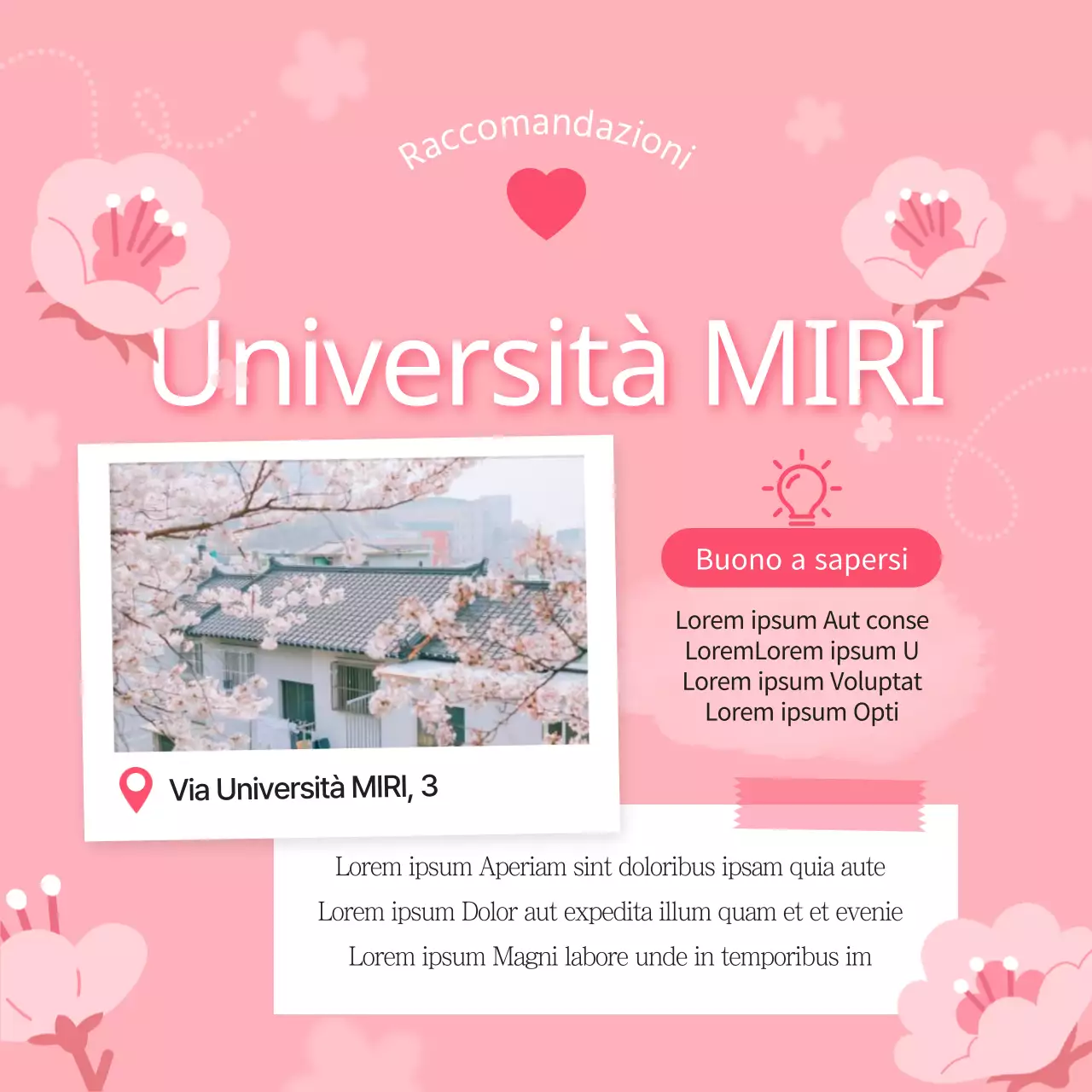 Guida alle belle macchie di fiori di ciliegio rosa e bianchi