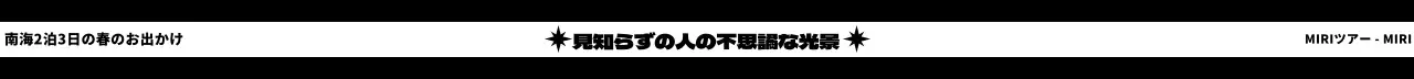 タイポグラフィと上下ラインが印象的なストラップデザイン。