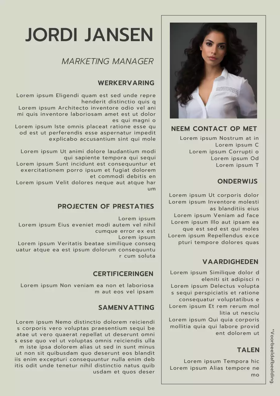 Khaki en Grijs Eenvoudig Marketing Manager CV Introductie