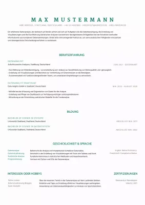 Grauer sauberer minimaler Datenanalyst-Lebenslauf