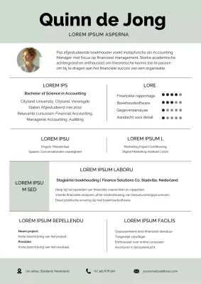 Soft Green Eenvoudig Boekhoudkundig Manager CV