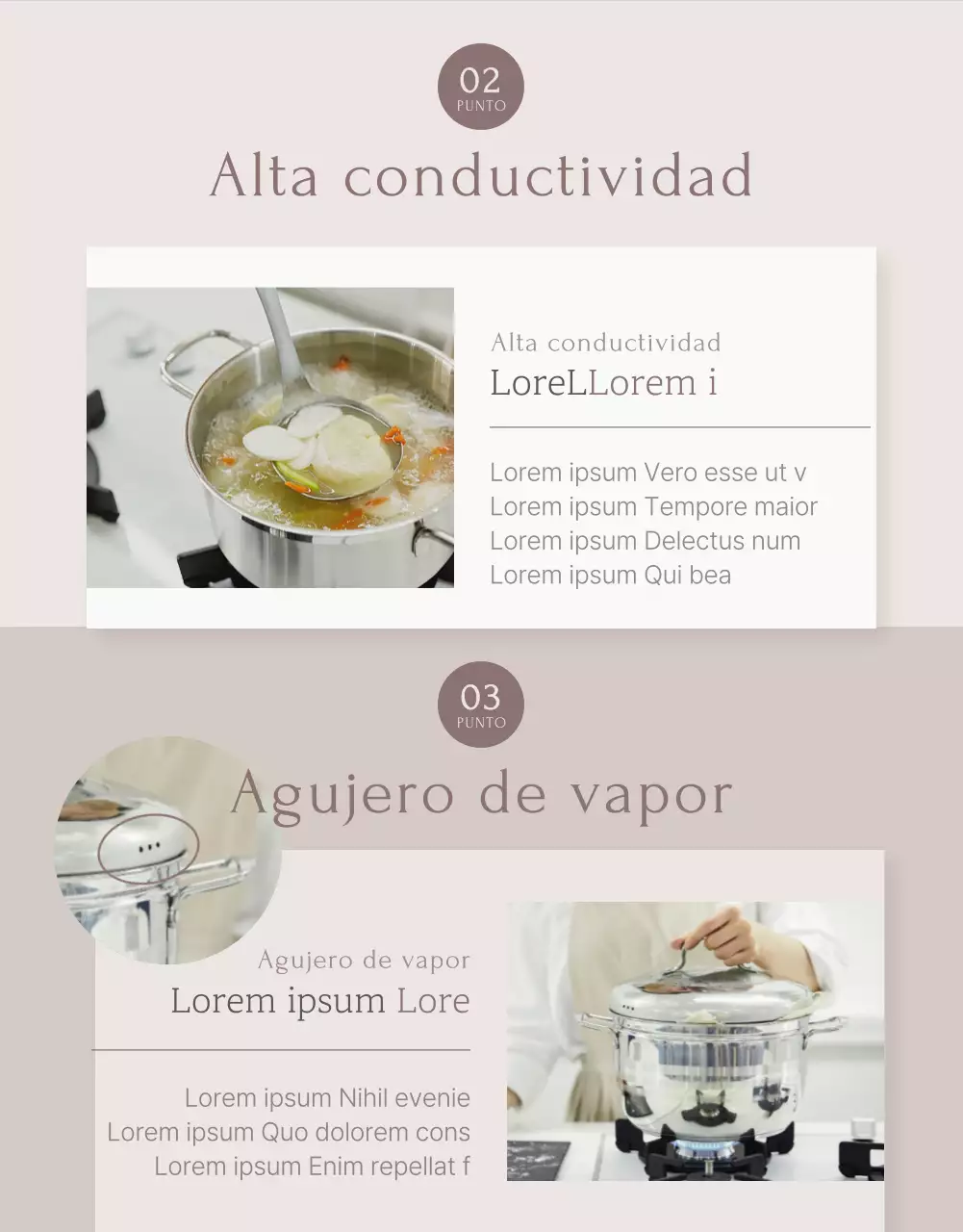 Una introducción a las macetas modernas en rosa y beige