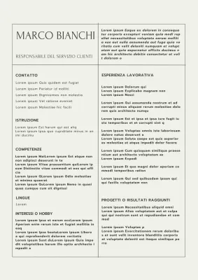 Beige e grigio Minimal Customer Service Manager Resume Introduzione
