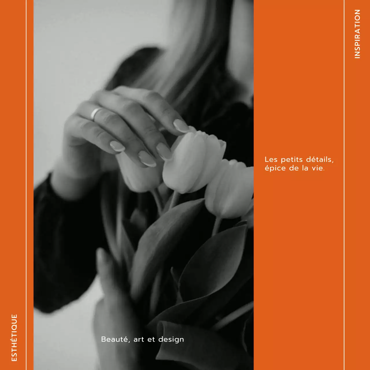 Tendance orange et blanche Modern Lifestyle et Trevel Blog Promotion