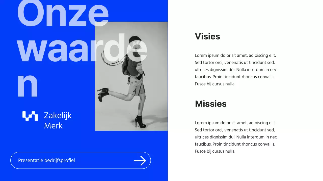 Grijs en Blauw Minimal Bedrijfsprofiel