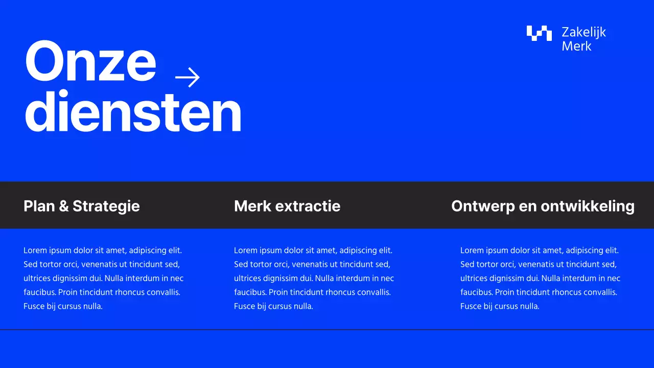 Grijs en Blauw Minimal Bedrijfsprofiel