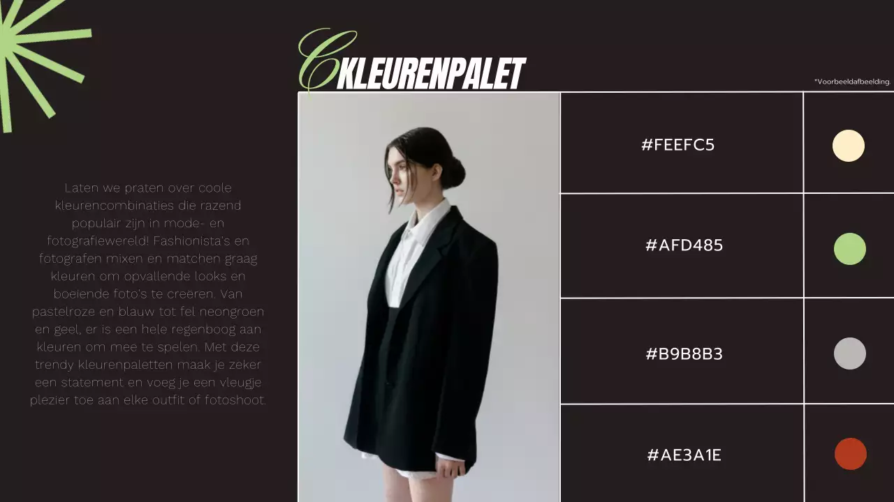 Zwart Lime en Wit Modern Elegant Trend Geometrisch Fotograaf Diensten Introductie van het bedrijf