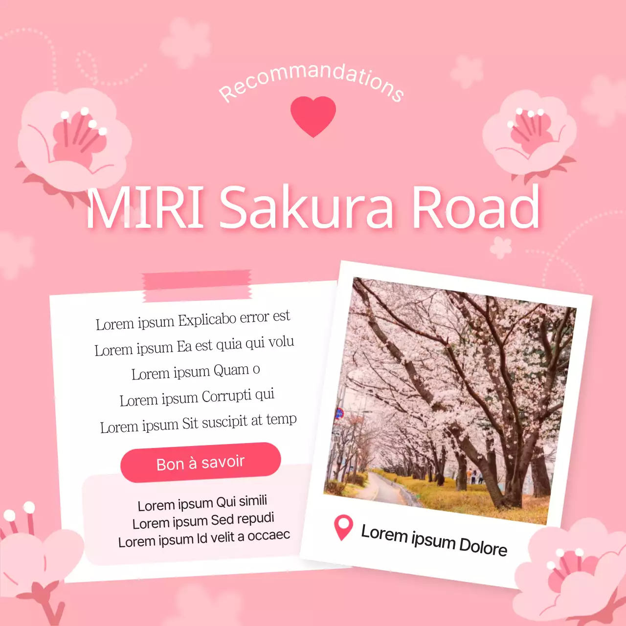 Guide des jolies fleurs de cerisier roses et blanches