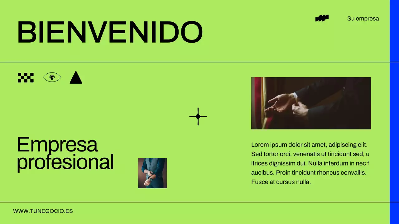 Informe sobre el perfil de las empresas modernas de neón y negro