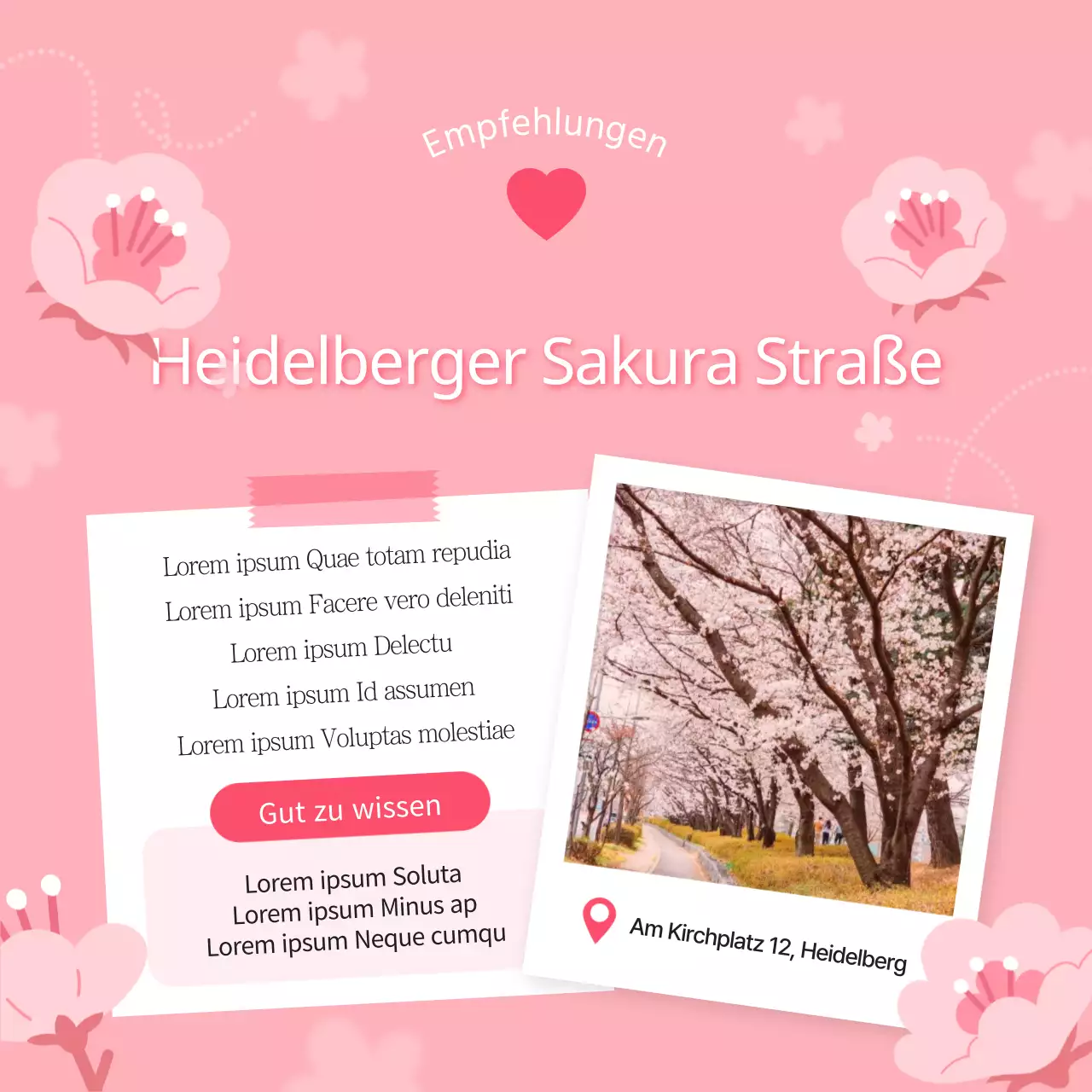 Ein Leitfaden für schöne rosa und weiße Kirschblütenflecken