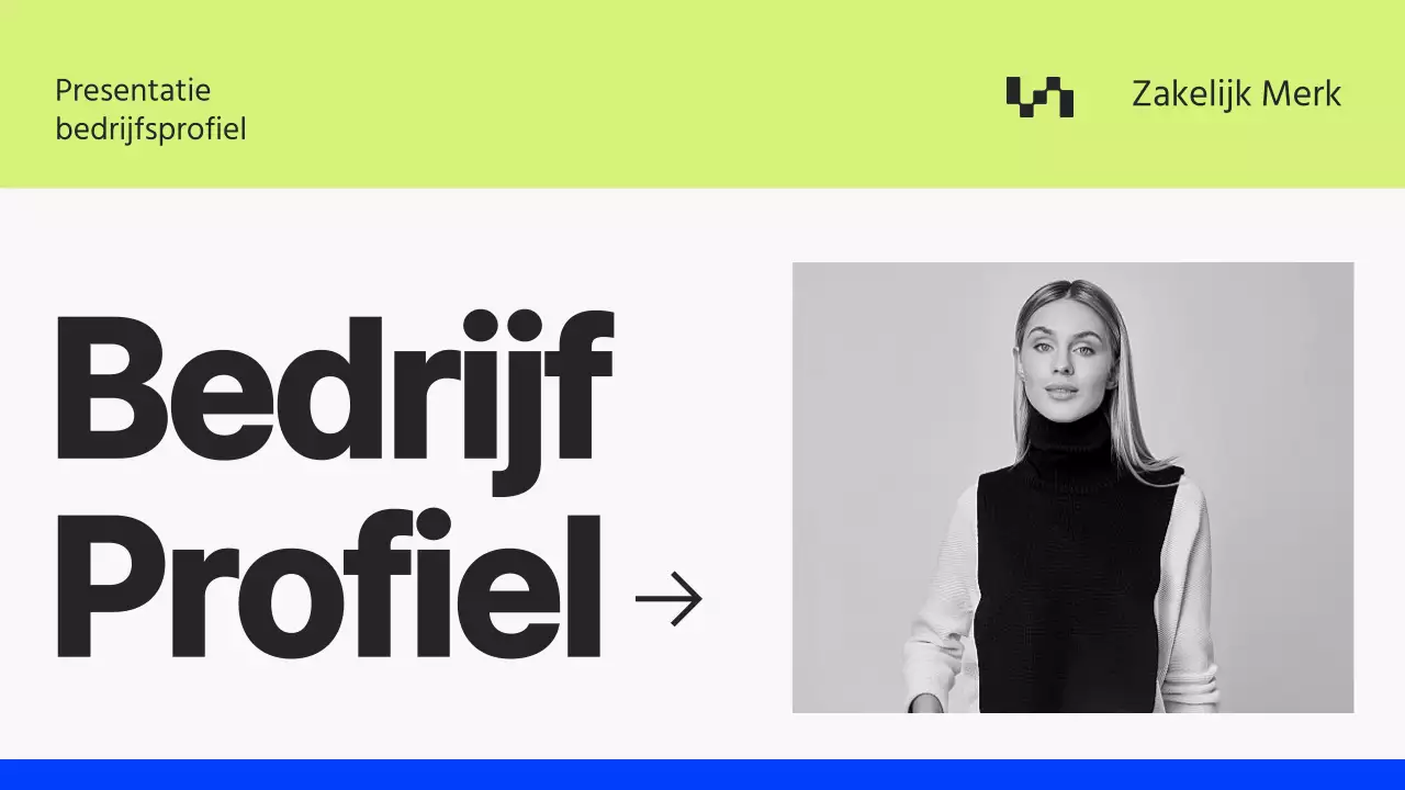 Grijs en Blauw Minimal Bedrijfsprofiel