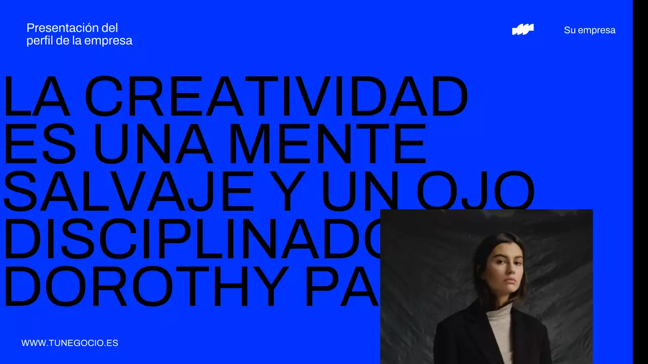Informe sobre el perfil de las empresas modernas de neón y negro