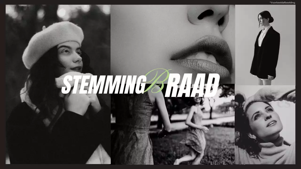 Zwart Lime en Wit Modern Elegant Trend Geometrisch Fotograaf Diensten Introductie van het bedrijf