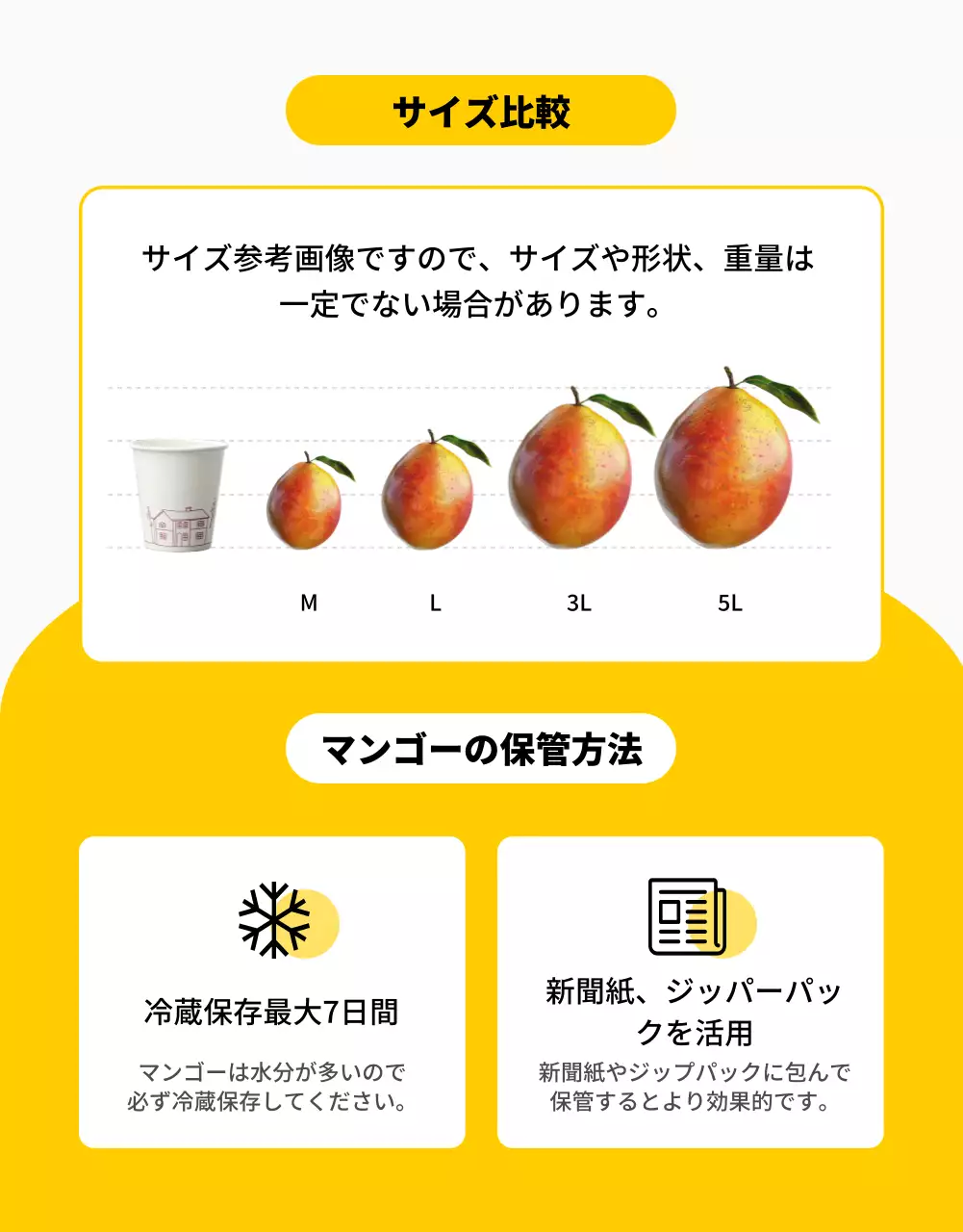 黄色 明るい フルーツ パンフレット 詳細ページ