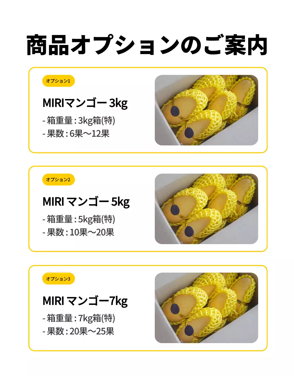 黄色 明るい フルーツ パンフレット 詳細ページ