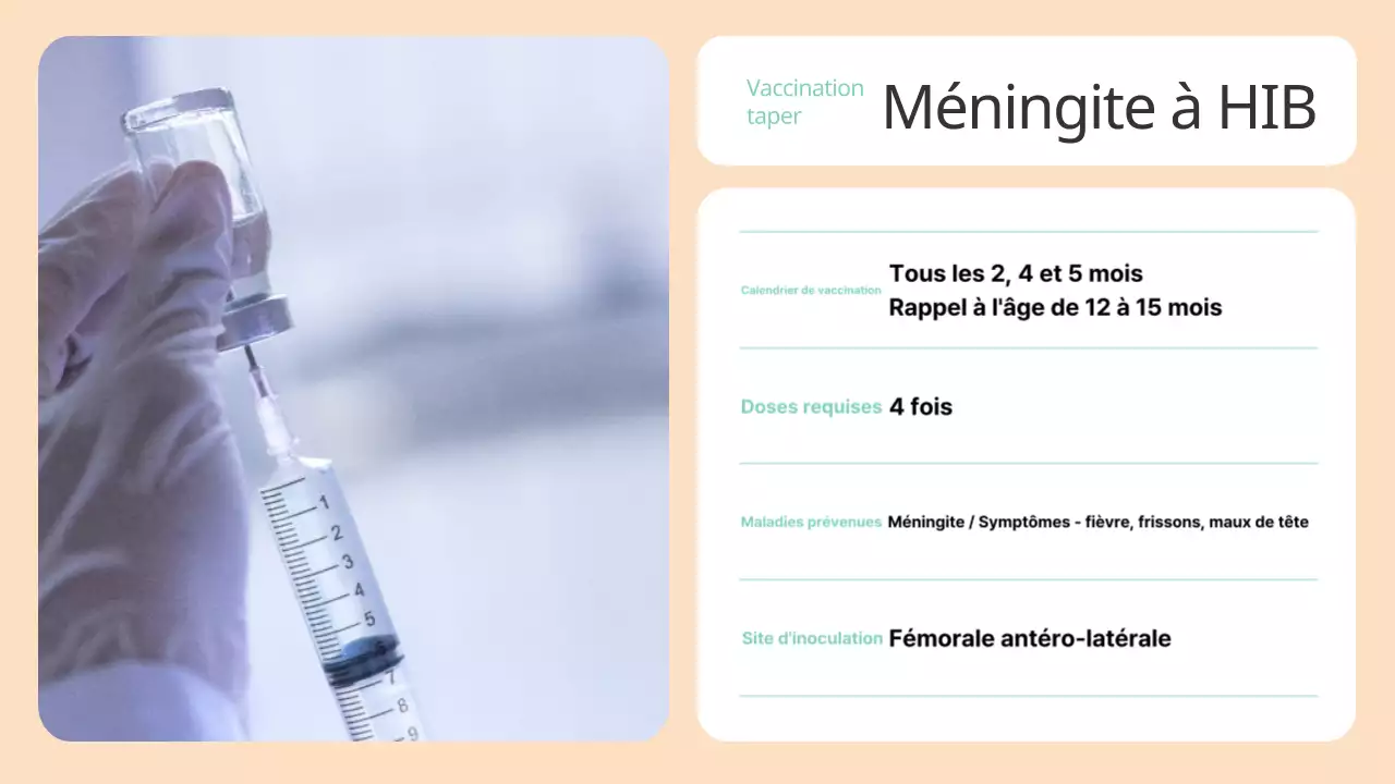Un joli guide beige et menthe sur les vaccinations