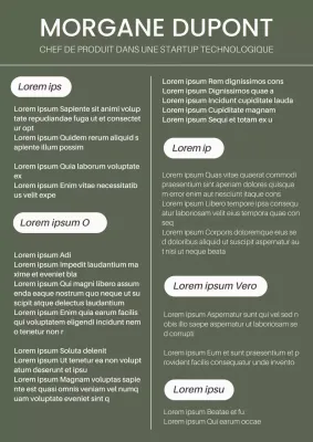 Introduction à un CV de chef de produit moderne en kaki et blanc