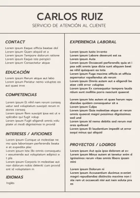 Beige y Gris Mínimo Gestor de Atención al Cliente Estética Introducción del Curriculum Vitae