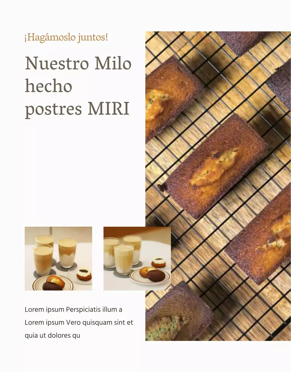 Café holandés moderno en beige y marfil explicado