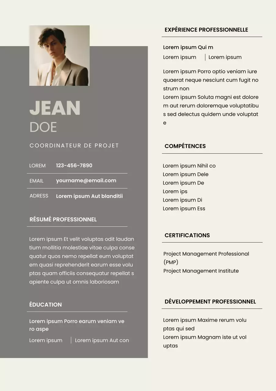 Curriculum vitae du coordinateur de projet gris et moderne