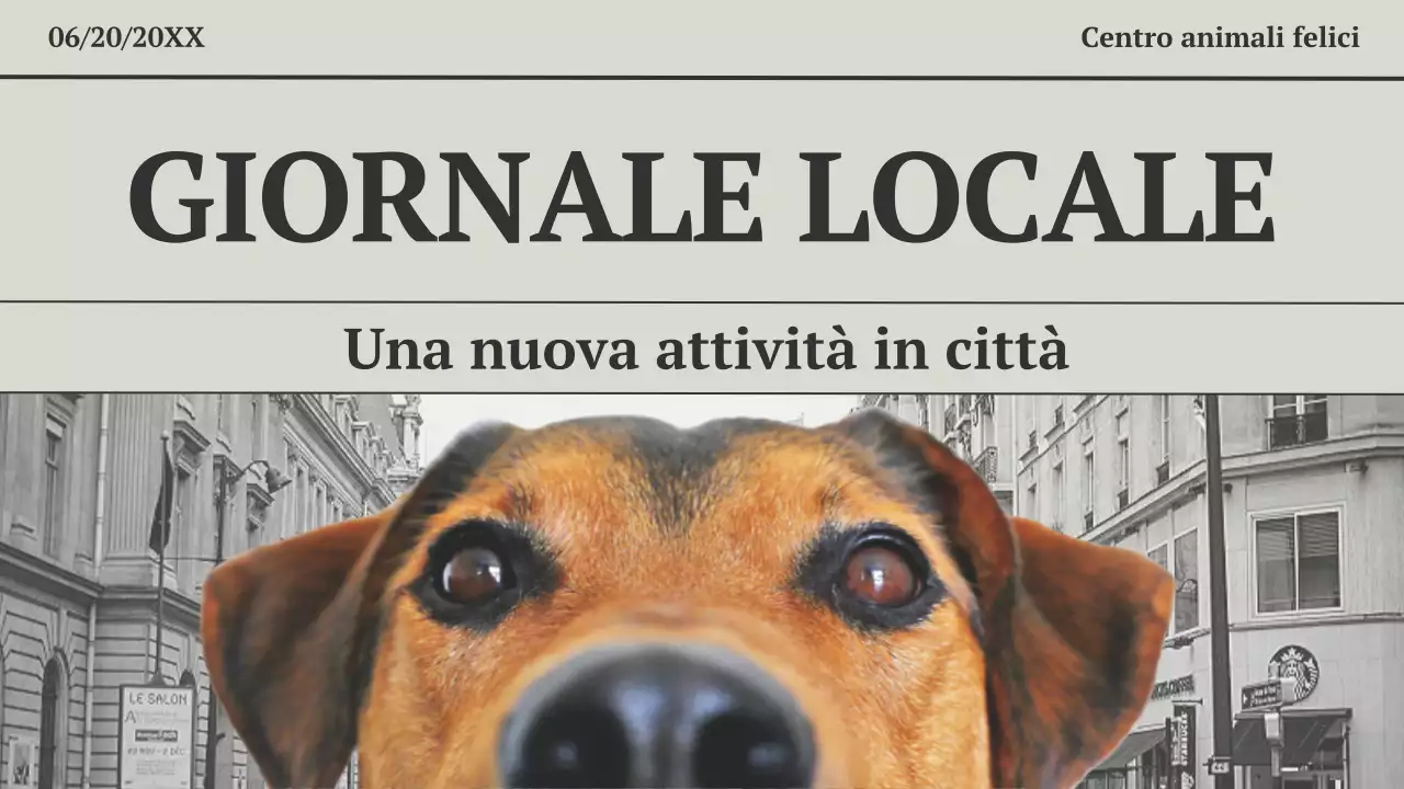 Grigio e nero Presentazione aziendale moderna e minimalista di un giornale