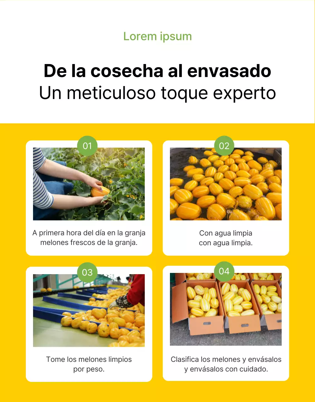 Promover la fruta fresca amarilla y sencilla