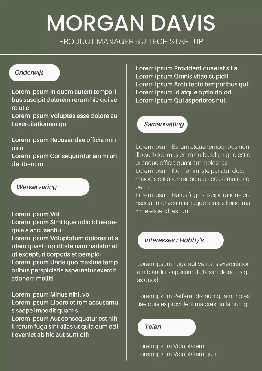 Khaki en Wit Modern Product Manager CV Introductie