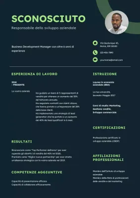 Curriculum del responsabile dello sviluppo commerciale verde moderno