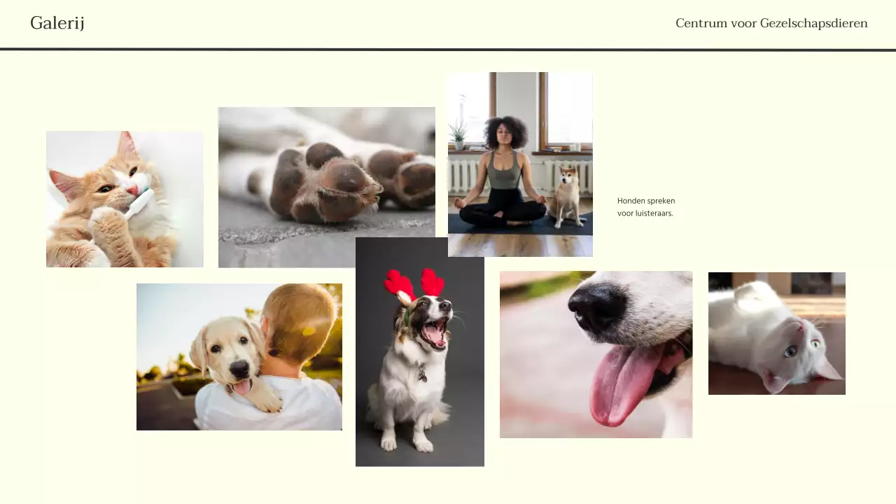 Grijze en zwarte minimalistische moderne zakelijke krantenpresentatie